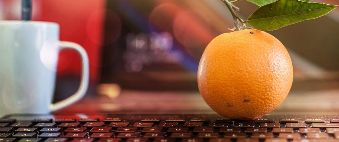 Apple above the Book